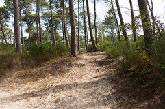 1030 - Vieux-Boucau - 27 août 2017 - 16h05m05s.jpg