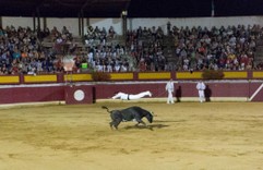 1077 - Vieux-Boucau - 29 août 2017 - 22h03m25s.jpg