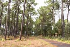 1167 - Vieux-Boucau - 01 septembre 2017 - 15h58m23s.jpg