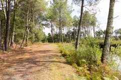 1184 - Vieux-Boucau - 01 septembre 2017 - 16h19m45s.jpg