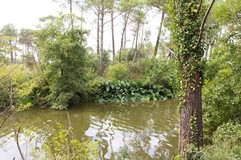 1193 - Vieux-Boucau - 01 septembre 2017 - 16h34m31s.jpg